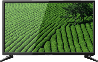Téléviseur Téléviseur LED GRUNDIG 24VLE4820